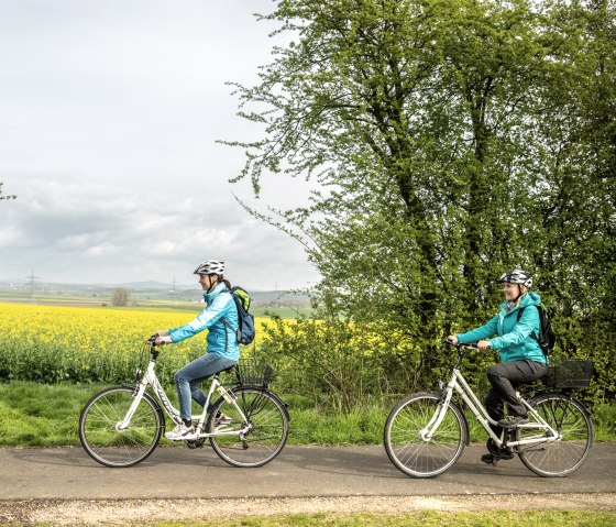 Bloeiend koolzaad begeleidt fietsers op het Maifeld fietspad, © Eifel Tourismus GmbH, Dominik Ketz Bloeiend koolzaad begeleidt fietsers op het Maifeld fietspad, © Eifel Tourismus GmbH, Dominik Ketz