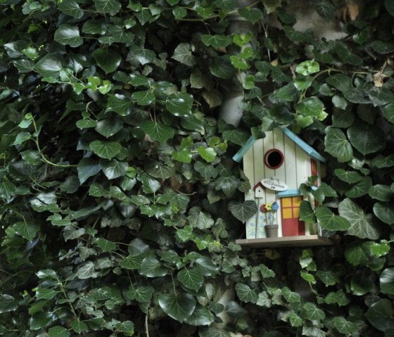 Sweet Home of Bird Sweet Home of Bird