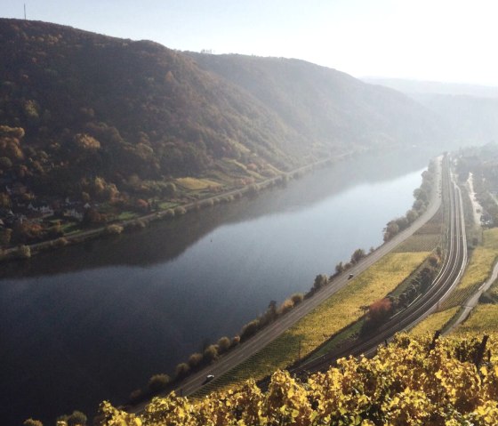 Die Mosel im Herbst Die Mosel im Herbst