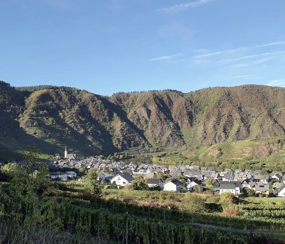 Calmont - Steilster Weinberg Europas Calmont - Steilster Weinberg Europas