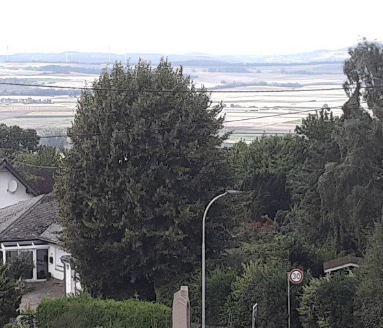 Aussicht, © Ferienwohnung Lydia Aussicht, © Ferienwohnung Lydia