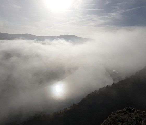 20221030_100219 20221030_100219