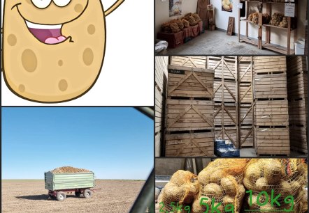 Kartoffel2, © Egon Nell Kartoffel2, © Egon Nell