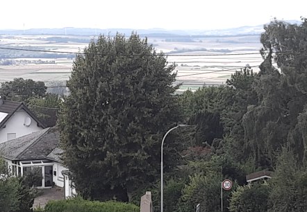 Aussicht, © Ferienwohnung Lydia Aussicht, © Ferienwohnung Lydia