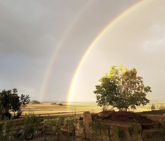 20220917_190909 20220917_190909