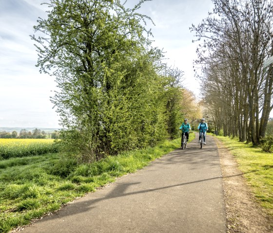 Op het Maifeld-fietspad langs bloeiende koolzaadvelden, © Eifel Tourismus GmbH, Dominik Ketz Op het Maifeld-fietspad langs bloeiende koolzaadvelden, © Eifel Tourismus GmbH, Dominik Ketz