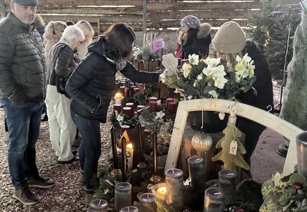 Pflanzenstand, © REMET Pflanzenstand, © REMET