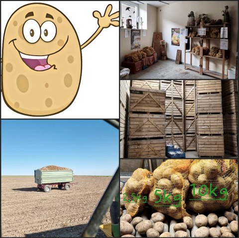 Kartoffel2, © Egon Nell Kartoffel2, © Egon Nell