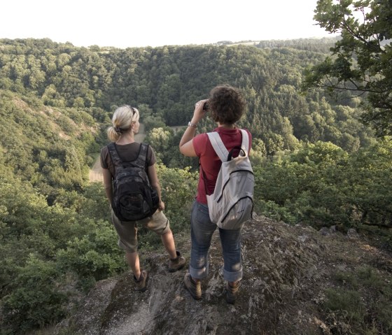 Sentier de schiste de la Nette - La Suisse de Trimbs, © Traumpfad