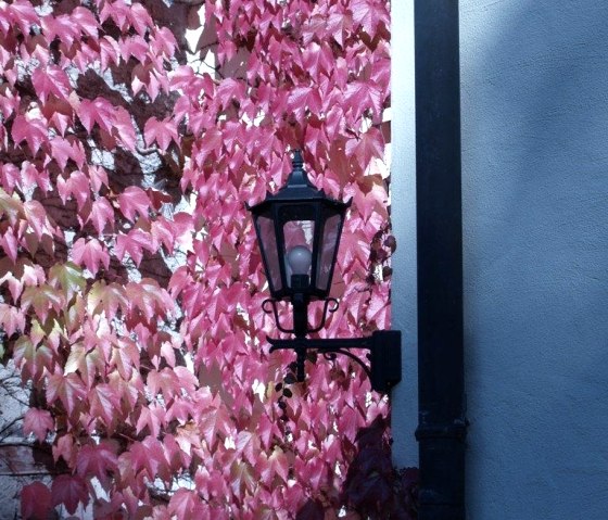 Herbst_Impression