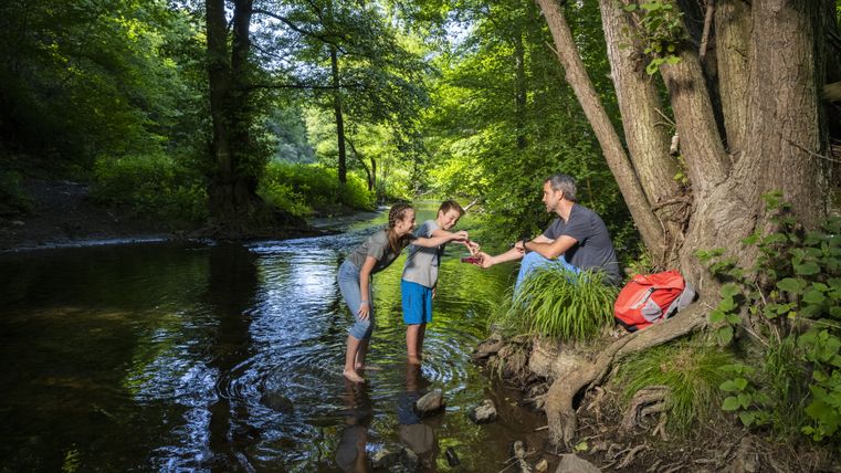 Eine Familie macht eine Pause an einem Bach im Wald.