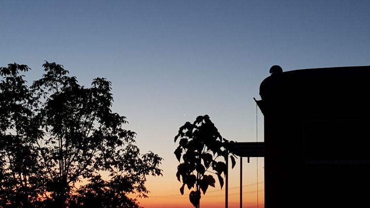 Ein wunderschöner Sonnenuntergang mit bunten Farben am Himmel. Der Mond ist sichtbar und einige silhuettierte Bäume rahmen die Szene ein.