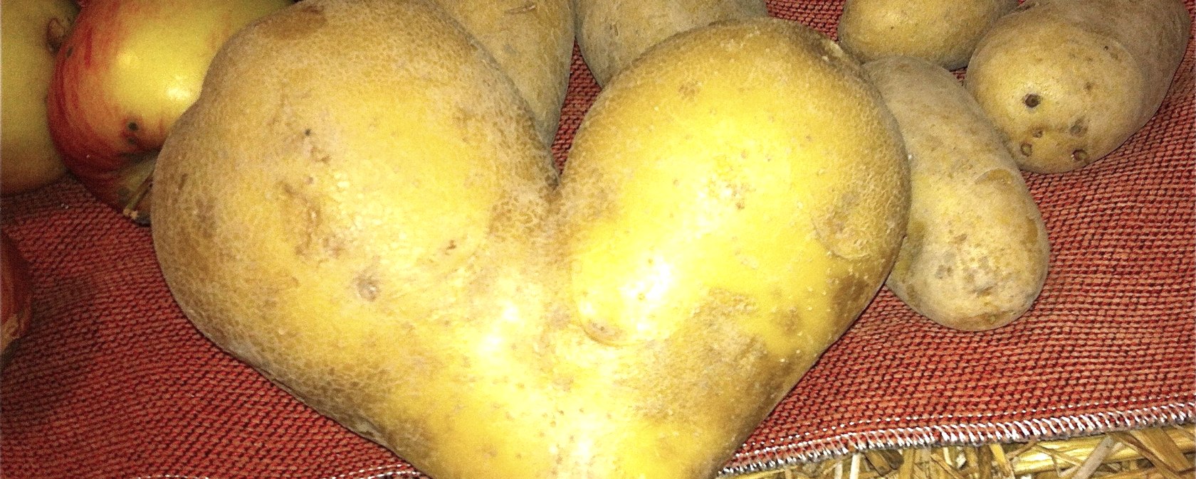 Kartoffeln, &copy; TI Maifeld, Willi Probstfeld