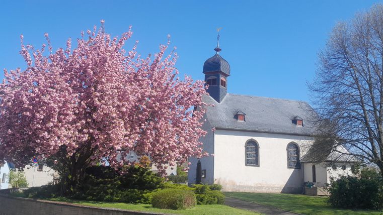 Eine Kirche steht neben einem blühenden Kirschbaum. Der Himmel ist blau und klar.