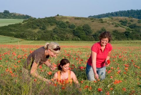 Drei Frauen in einem Mohnblumenfeld im Naturschutzgebiet Nettetal.