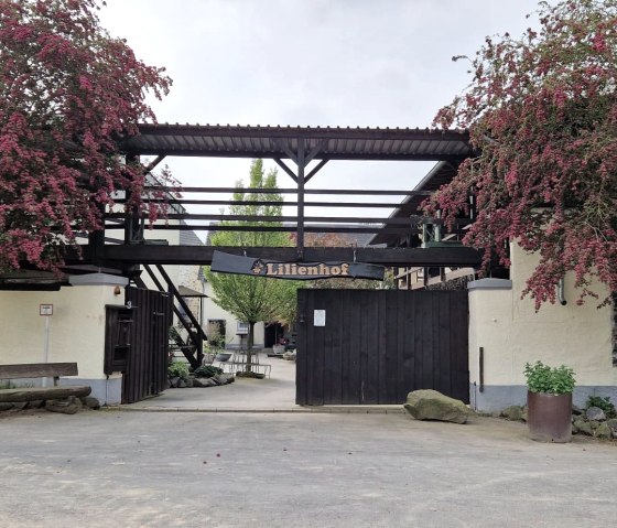 Hoftor_Lilienhof