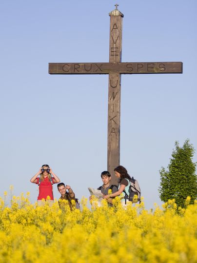 Eine Gruppe von Menschen steht vor einem großen Holzkreuz inmitten eines bunten Rapsfeldes. Der Himmel ist klar und blau.