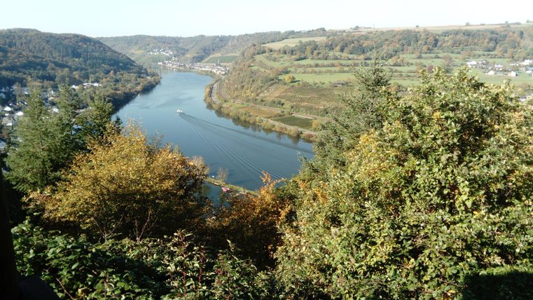 Eine malerische Flusslandschaft mit sanften Hügeln und üppigem Grün. Die Bäume zeigen herbstliche Farben und der Fluss schlängelt sich durch die Landschaft.