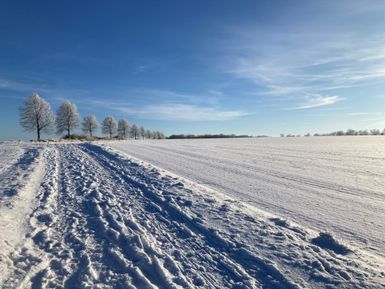 Ein schneebedecktes Feld unter blauem Himmel.