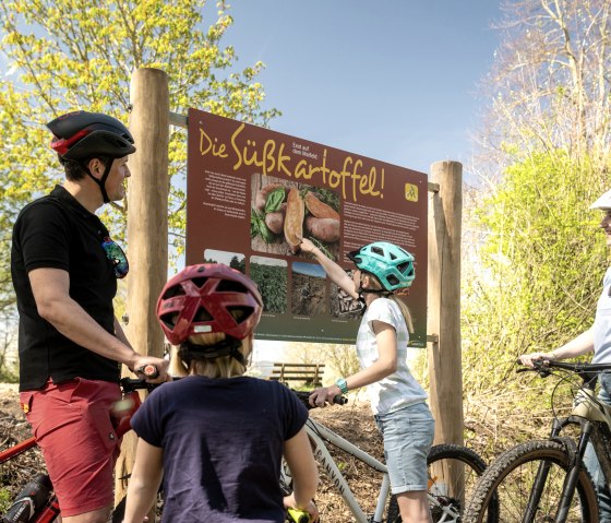 Maifeld-Radweg-2025-048-Kerben