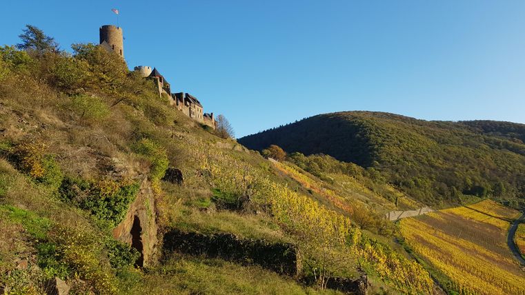 Eine alte Burg auf einem Hügel, umgeben von bunten Weinbergen. Der klare Himmel und die sanften Wiesen schaffen eine malerische Landschaft.