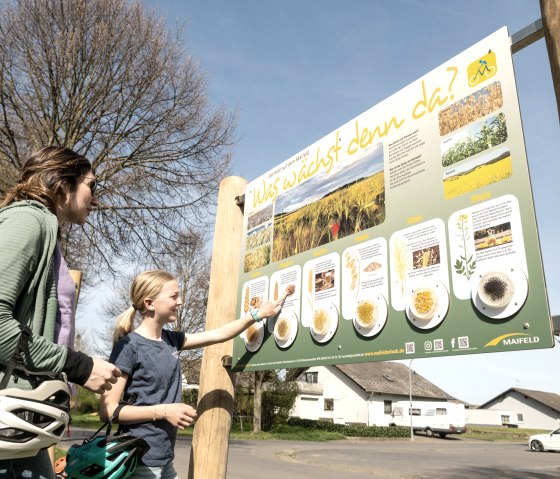 Maifeld-Radweg-2025-071-Mertloch, &copy; TI Maifeld, Dominik Ketz