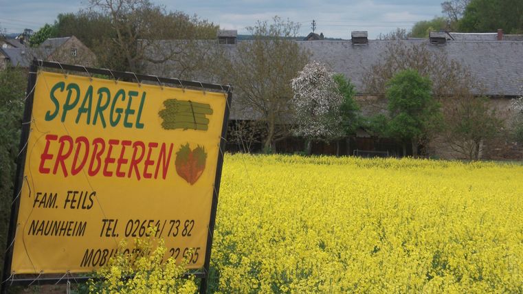 Ein Schild mit der Aufschrift "Spargel Erdbeeren" vor einem gelben Rapsfeld. Im Hintergrund sind mehrere Gebäude und Bäume sichtbar.