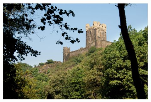Un vieux château se dresse sur une colline, entouré d'arbres verts. Le ciel est clair et bleu.