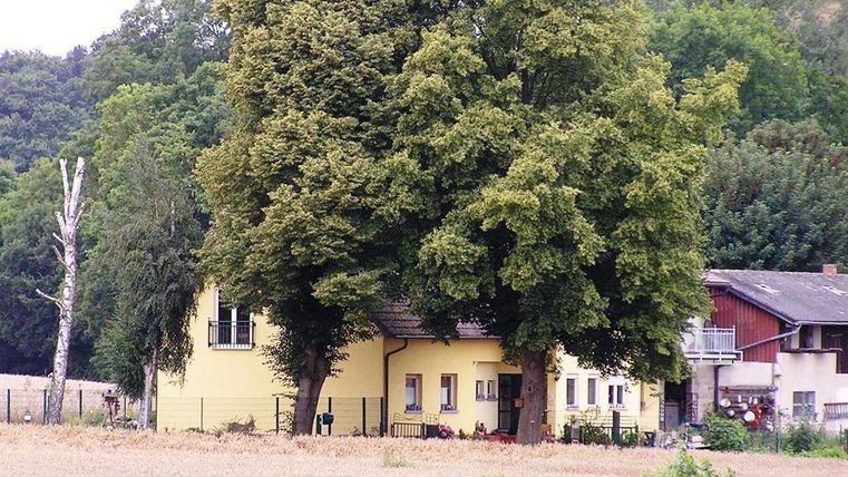 Ein gelbes Haus mit großen Bäumen in einer ländlichen Umgebung. Im Hintergrund sind weitere Gebäude und Felder zu sehen.
