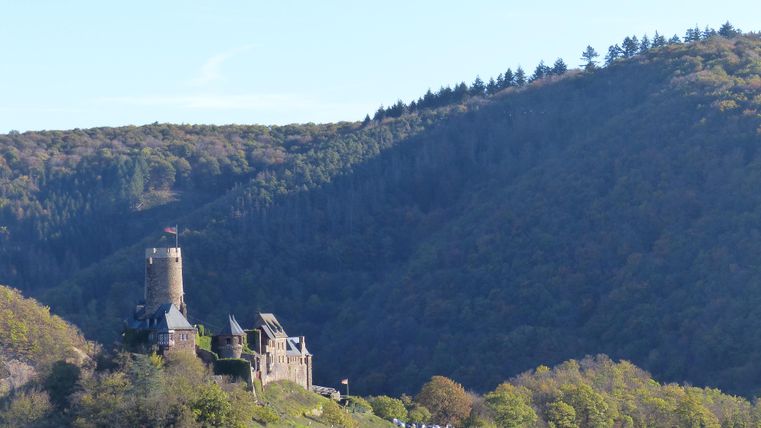 Eine alte Burg auf einer Anhöhe, umgeben von grünen Wäldern. Im Hintergrund sind sanfte Hügel und ein klarer Himmel zu sehen.