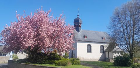 Eine Kirche steht neben einem blühenden Kirschbaum. Der Himmel ist blau und klar.