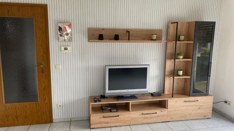 Ein moderner Wohnraum mit einem Fernseher auf einem Holzmöbelstück. An der Wand sind Regale mit Pflanzen und eine Tür zu sehen.