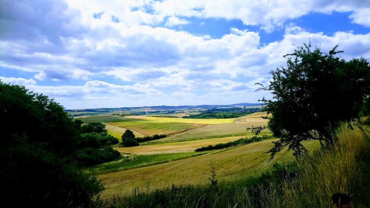 Eine weitläufige Landschaft mit sanften Hügeln und Wiesen. Der Himmel ist bewölkt, und die Farben der Felder sind harmonisch.