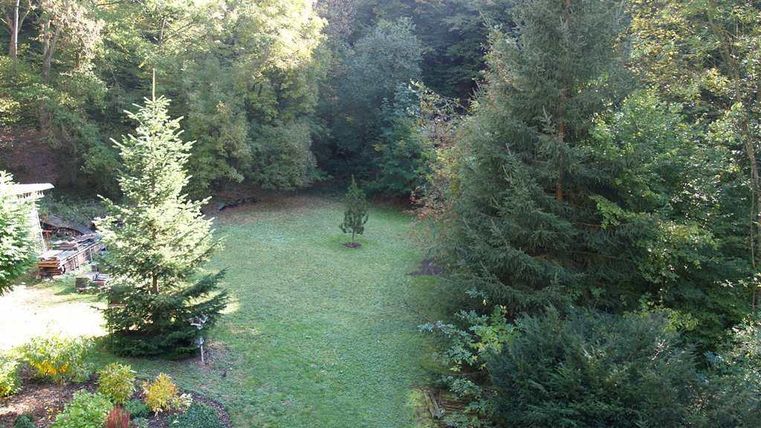 Ein ruhiger Garten mit grünem Rasen und verschiedenen Bäumen. Im Hintergrund sind dichte Wälder sichtbar.