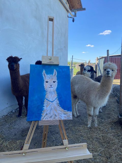 Malen bei den Alpakas