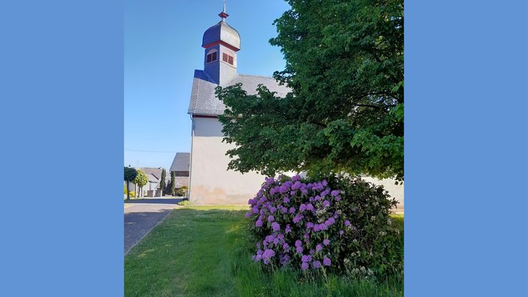 Eine Kirche mit einem roten Turm steht neben einem großen Baum. Vor der Kirche blühen lila Rhododendren.