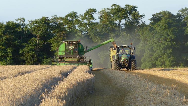 Ein Traktor und eine Erntemaschine arbeiten auf einem goldenen Feld. Im Hintergrund sind grüne Bäume zu sehen.