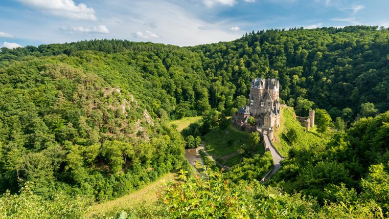 Eine beeindruckende Burg umgeben von üppigen Wäldern und sanften Hügeln. Der Himmel ist klar und das Licht sorgt für eine malerische Atmosphäre.