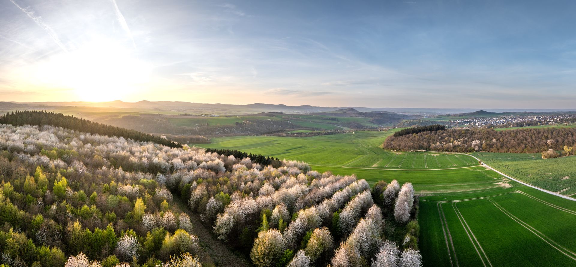 Eine Luftaufnahme Maifeld-Radweg Nähe Ochtendung, die Bäume stehen in voller Blüte