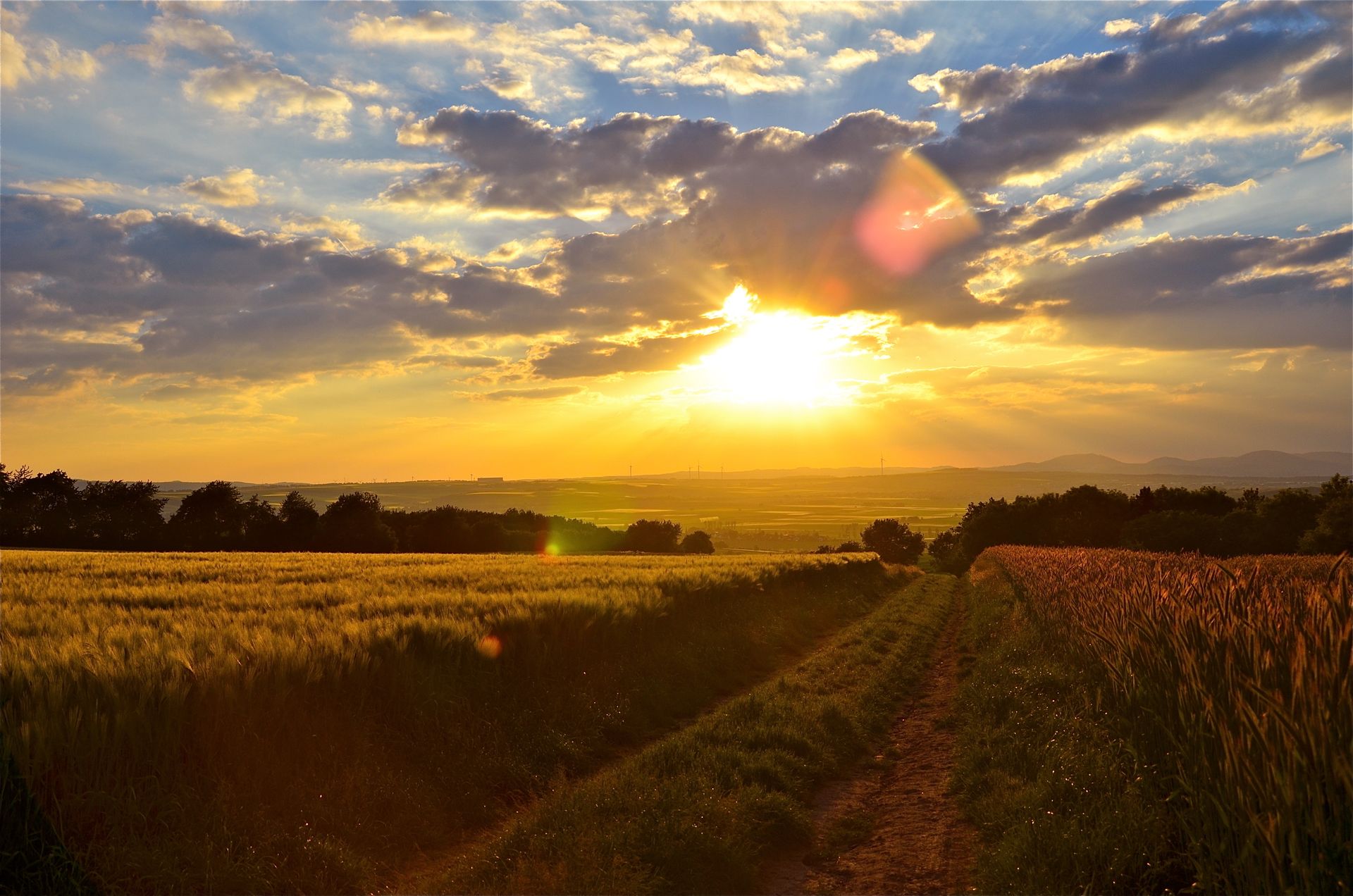 Das Foto zeigt einen Sonnenuntergang. Im Vordergrund sieht man die Felder des Maifelds. 