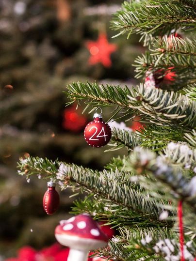 Een feestelijk versierde kerstboom met rode ballen en een speciaal ornament met het cijfer 24. Op de achtergrond zijn verdere decoratieve elementen zichtbaar.