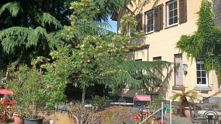 Ein charmantes Haus umgeben von großen Bäumen und blühenden Pflanzen. Verschiedene Blumentöpfe und Gartenmöbel verleihen dem Außenbereich eine einladende Atmosphäre.