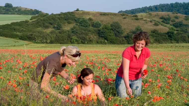 Drei Frauen in einem Mohnblumenfeld im Naturschutzgebiet Nettetal.
