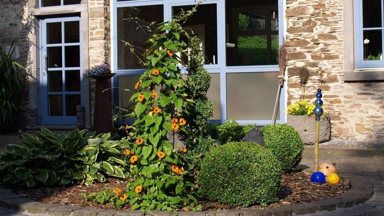 Ein schöner Garten mit einer bunten Pflanze und grünen Sträuchern. Im Hintergrund ist ein großes Fenster und einige Gartenornamente sichtbar.