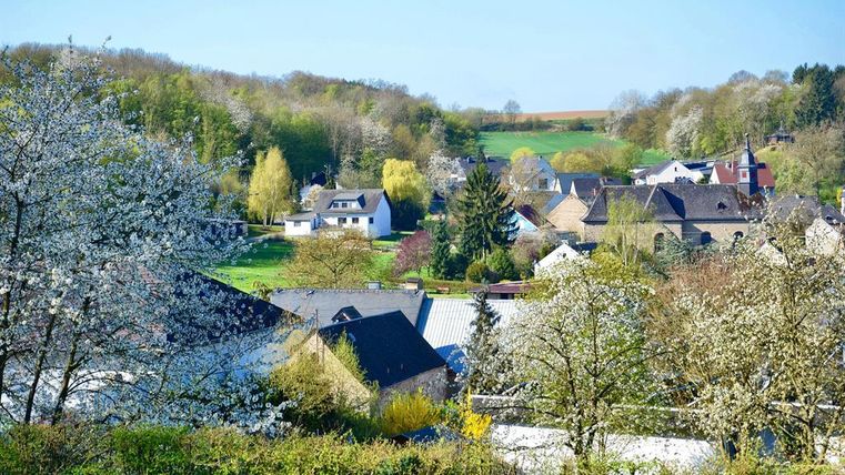 Eine malerische ländliche Szene mit Häusern, umgeben von Bäumen und Wiesen. Der Himmel ist klar und die Natur blüht im Frühling.