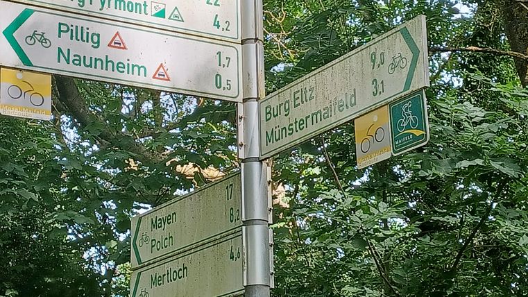 Ein Wegweiser im Wald mit verschiedenen Richtungen und Entfernungen zu Fahrradrouten. Sichtbare Ziele sind unter anderem Burg Eltz und Naunheim.
