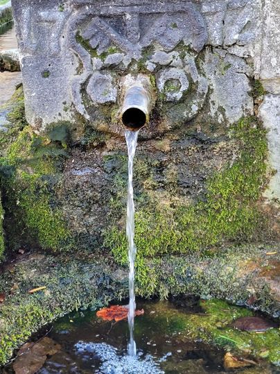 Ein alter Steinbrunnen mit einem verzinkten Auslass. Wasser fließt langsam und klar in eine mit Blättern bedeckte Senke.