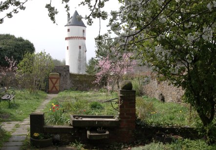 Blick auf die Laufenburg (Eulenturm)