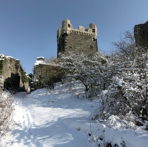 Burg Wernerseck_Winter