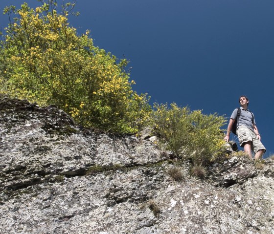 The rock path on the Pyrmont rock climb, © Traumpfade/Kappest